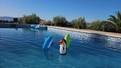 Villa Mika — foto 9