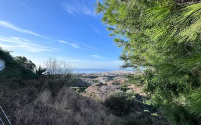 Villa Mimosa — foto 11