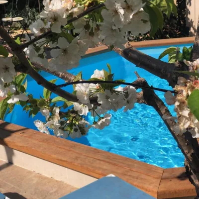 Villa Modernista — 写真 4