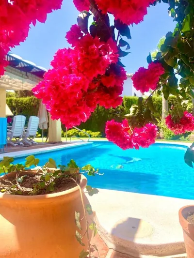Villa Moumi — foto 6