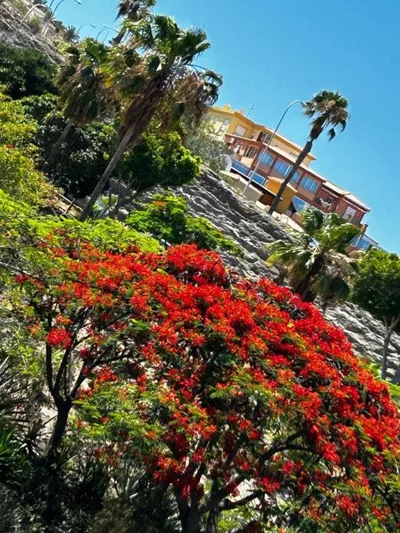 Villa Natandre Tenerife Ocean View Accommodation — photo 7