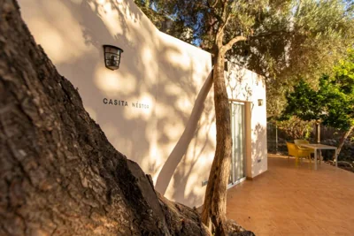Villa Nestor — foto 6