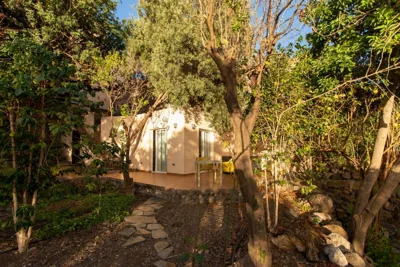 Villa Nestor — foto 7