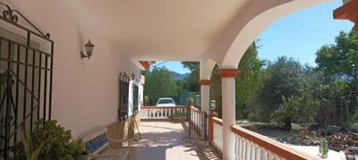 Villa Oasis — foto 6