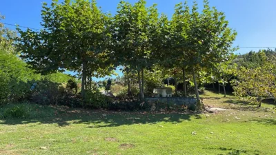 VILLA OLIMAR — photo 6