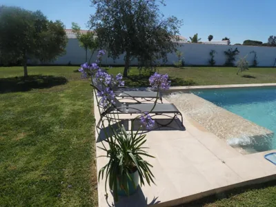Villa Olivia con Piscina, Jardin y Parking — 照片 11
