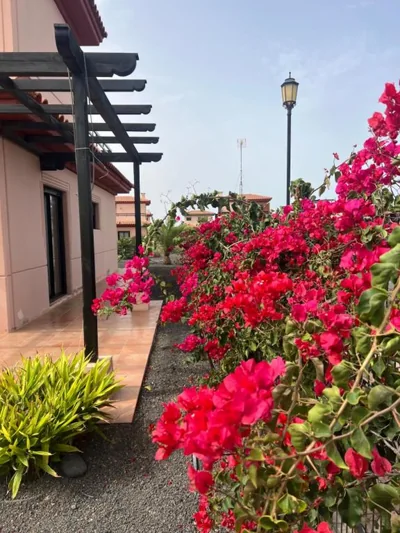 Villa Origo Mare 1236 in Majanicho — Foto 10