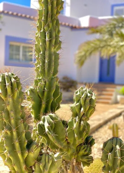 Villa PALMERA — photo 10