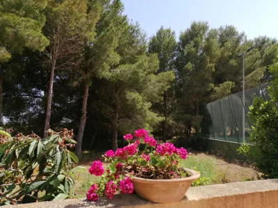 Villa Parra — foto 12