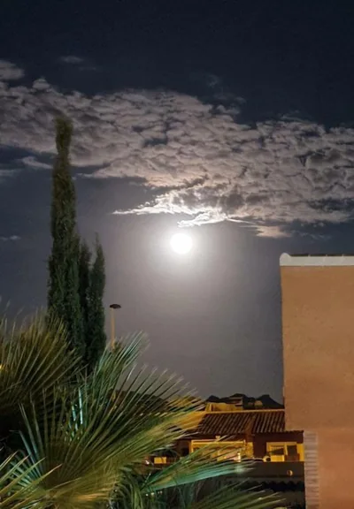 Villa Preciosa — foto 4