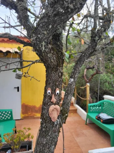 Villa Rita — Foto 11