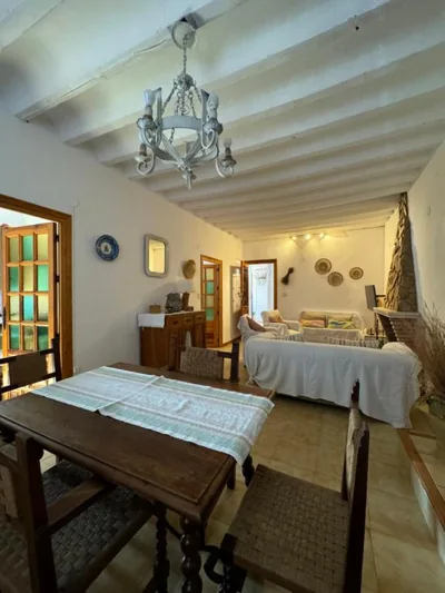 Villa rural sXIX Luz tranquilidad y naturaleza — foto 11