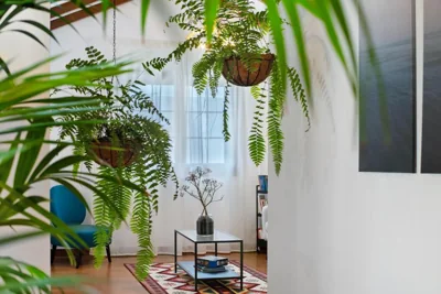 Villa Tahoyo — foto 12