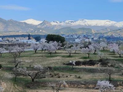 Villa Terracota, lujo en Granada y Sierra Nevada — foto 7