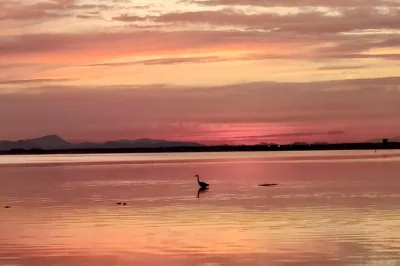 Villa Veneziola La Manga — foto 11