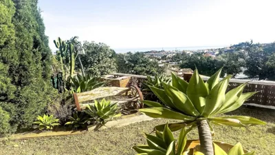 Villa Veracruz Pool & BBQ — 写真 6
