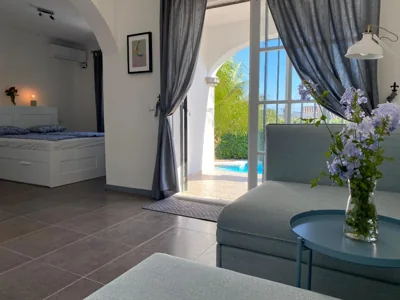 Villa with a big garden and heated pool — 照片 2