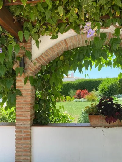Villa with a big garden and heated pool — 照片 11