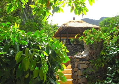 Villa with Ocean View — 照片 9
