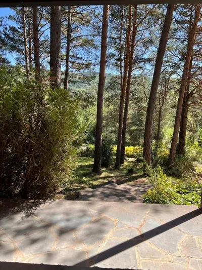Villa Zocotin — foto 5