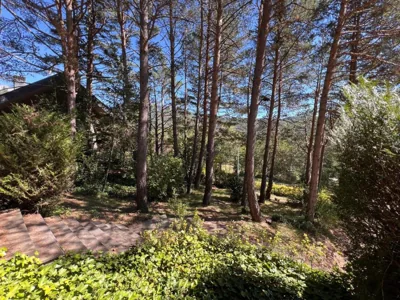 Villa Zocotin — foto 7