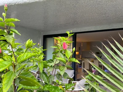 Ville Las Olas — foto 9