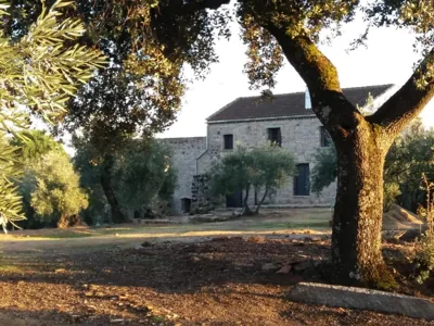Viña Las Olivas — foto 12