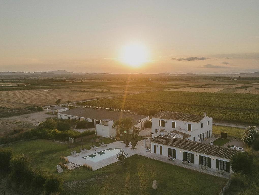 Vino Resort Son Amaret