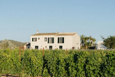 Vino Resort Son Amaret — foto 9