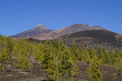 Vista Del Drago — foto 12
