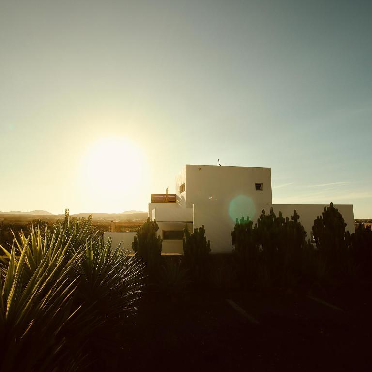 Vitamin Sea Guesthouse