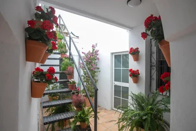 Vitium Córdoba — foto 11