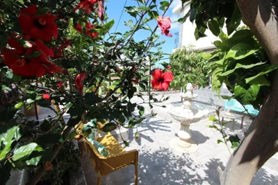 ViVa Tropical — foto 12