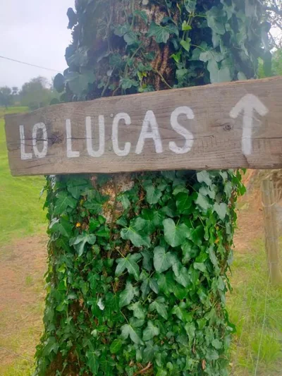 Vivienda pasiega LO LUCAS 1920 — foto 7