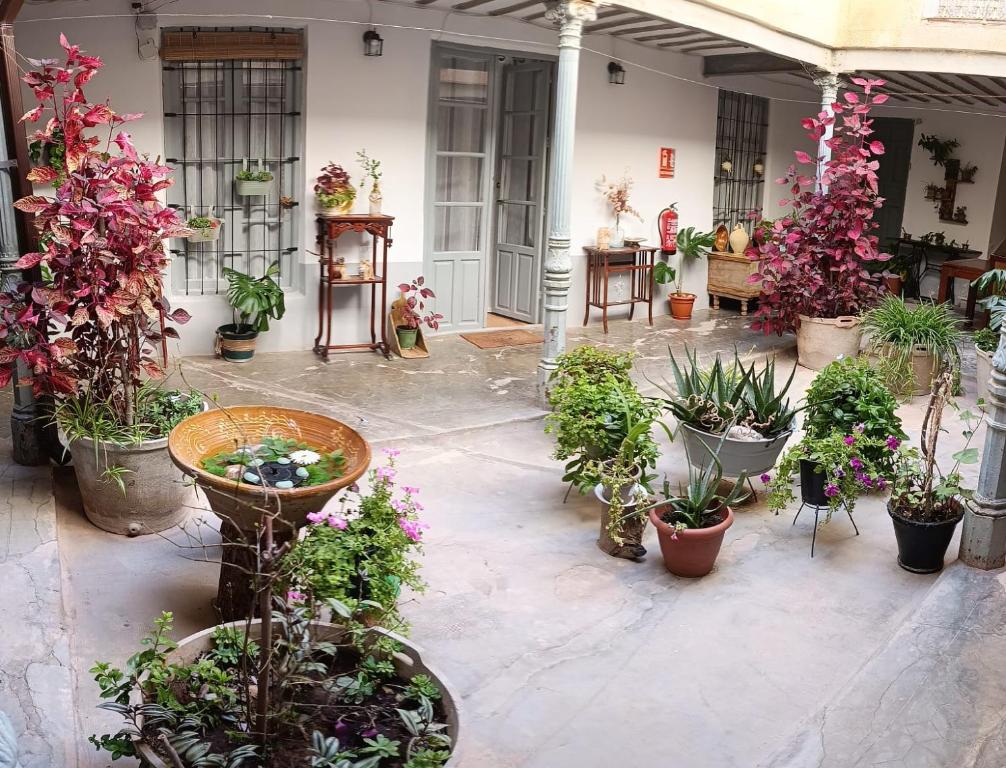 Vivienda rural el gobernador