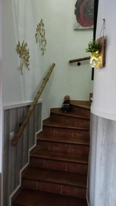 Vivienda Rural LA SOÑADA en El Bosque — foto 12