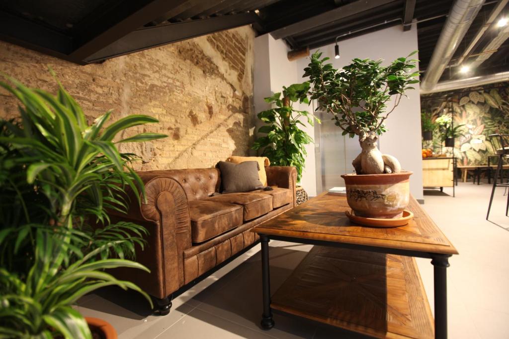 VTZ The Botanic Hostel
