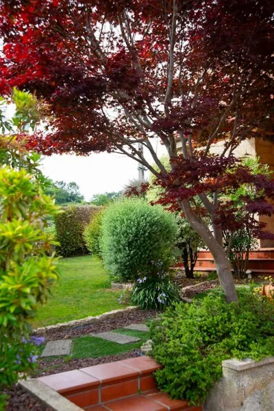 Welcome Villa O Sidrón — 写真 8