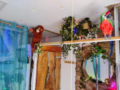 Wonder Room Paraiso Magico Habitacion — photo 12