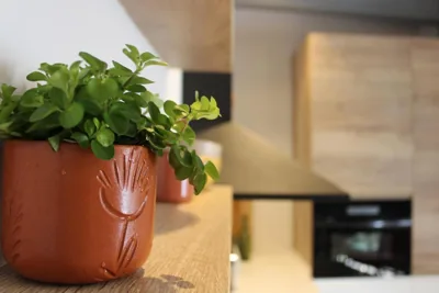 XIMENETXE Vivienda Turística — foto 4
