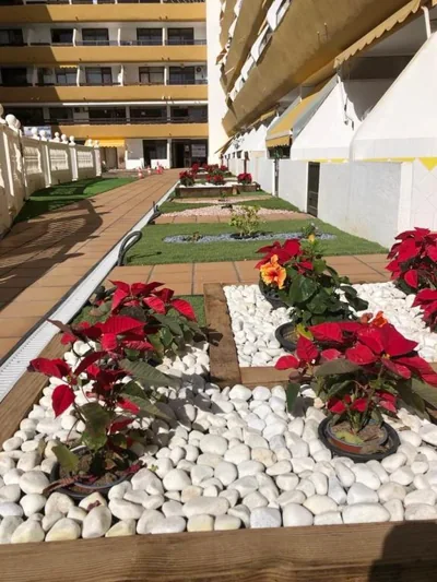 Yumbo Beach Apartment 2 with high speed free internet — foto 11