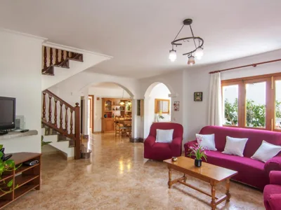 Zamia — Foto 5