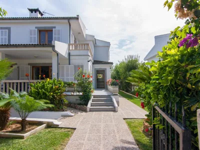 Zamia — Foto 6