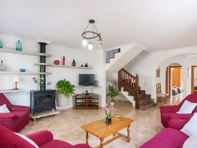 Zamia — Foto 12