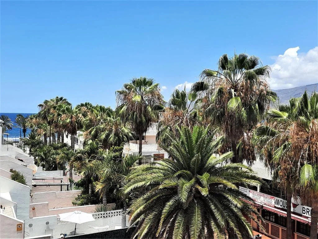 Studio met uitzicht op zee — ZioCarlo/Las Americas