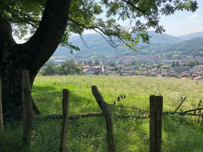 Zubitarte — foto 5