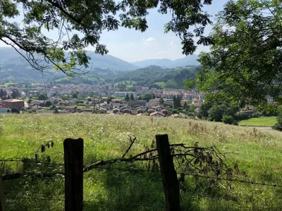 Zubitarte — foto 6