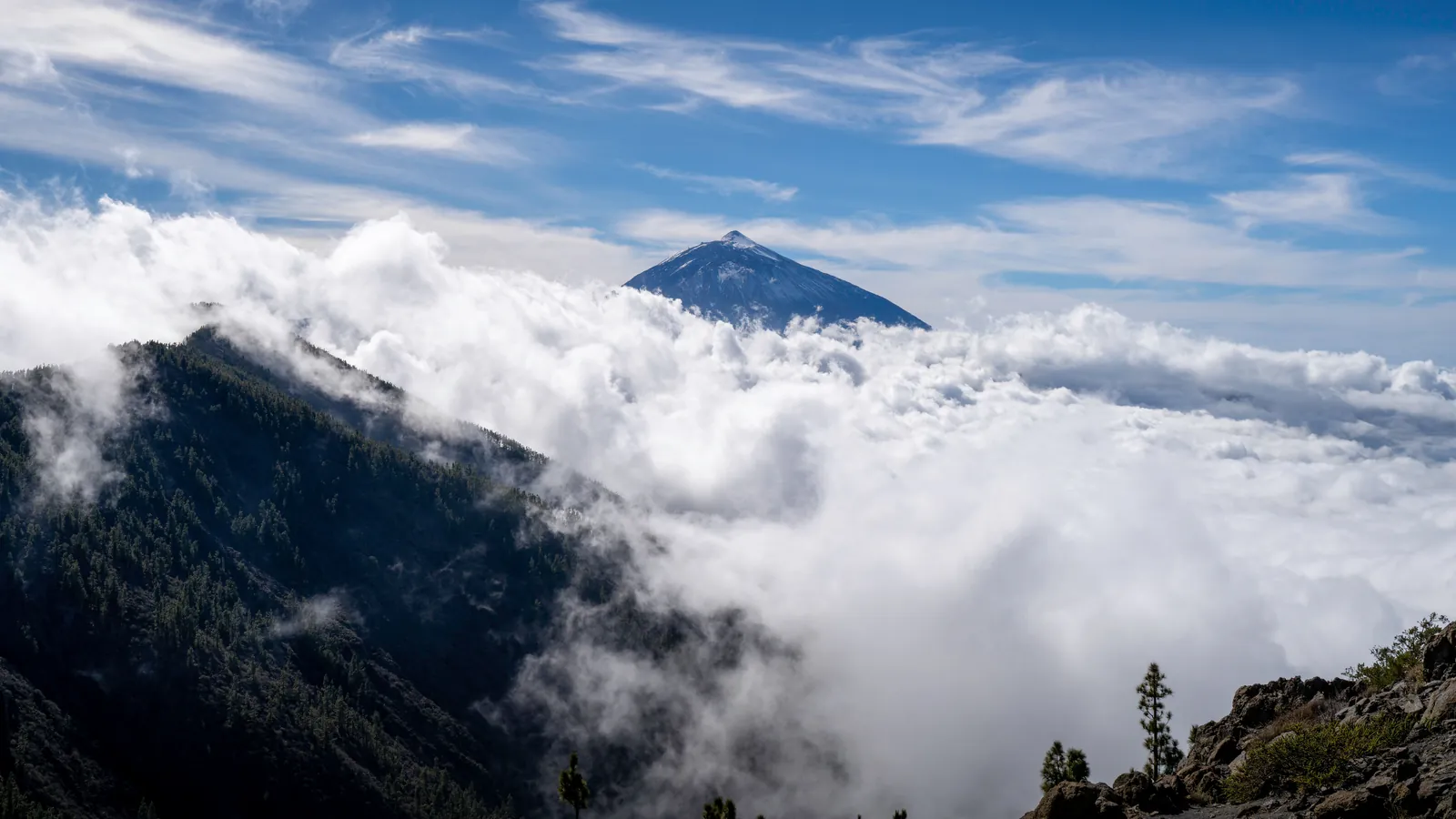 Dónde dormir en Tenerife: zonas y alojamientos que elegimos