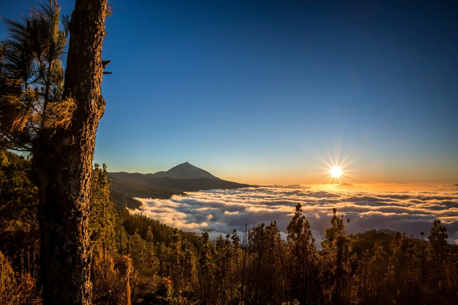 Pequeños hoteles en Canarias